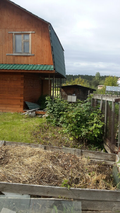 г. Березовский, коллективный сад № 38, уч. 29 (городской округ Березовский) - фото сада (6)