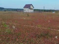 Продажа земельного участка: д. Курманка, ул. Фермерская, 4 (городской округ Заречный) - Фото 3