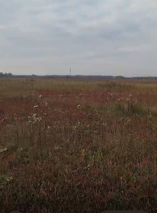 д. Курманка, ул. Фермерская, 4 (городской округ Заречный) - фото земельного участка (6)
