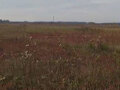 Продажа земельного участка: д. Курманка, ул. Фермерская, 4 (городской округ Заречный) - Фото 6