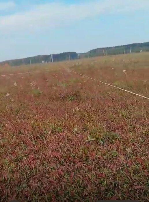 д. Курманка, ул. Фермерская, 4 (городской округ Заречный) - фото земельного участка (8)