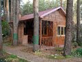 Продажа коттеджей: г. Березовский, ул. Маршала Жукова, 12 (городской округ Березовский) - Фото 6