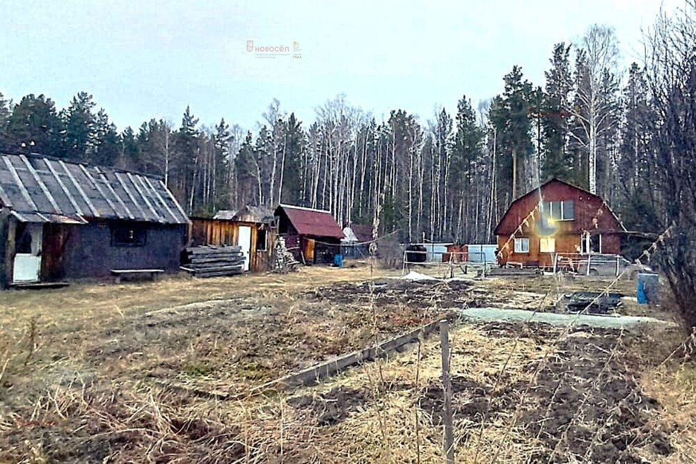 г. Реж, СНТ Русь уч.5 (городской округ Режевской) - фото сада (6)