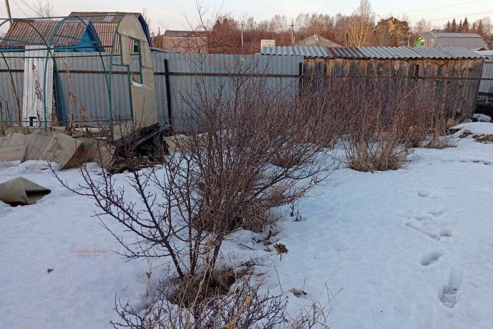 с. Патруши, СОТ Заречный (городской округ Сысертский) - фото сада (3)