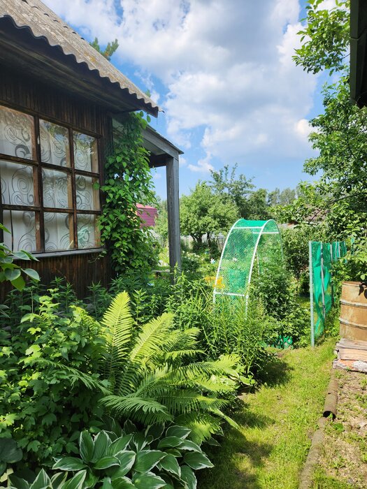 Екатеринбург, СНТ Заря , ул. Начдива Онуфриева, 51 (УНЦ) - фото сада (2)