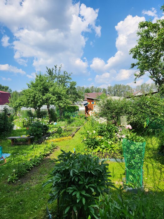 Екатеринбург, СНТ Заря , ул. Начдива Онуфриева, 51 (УНЦ) - фото сада (4)