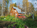Продажа садового участка: Екатеринбург, коллективный сад Строймаш - Фото 1