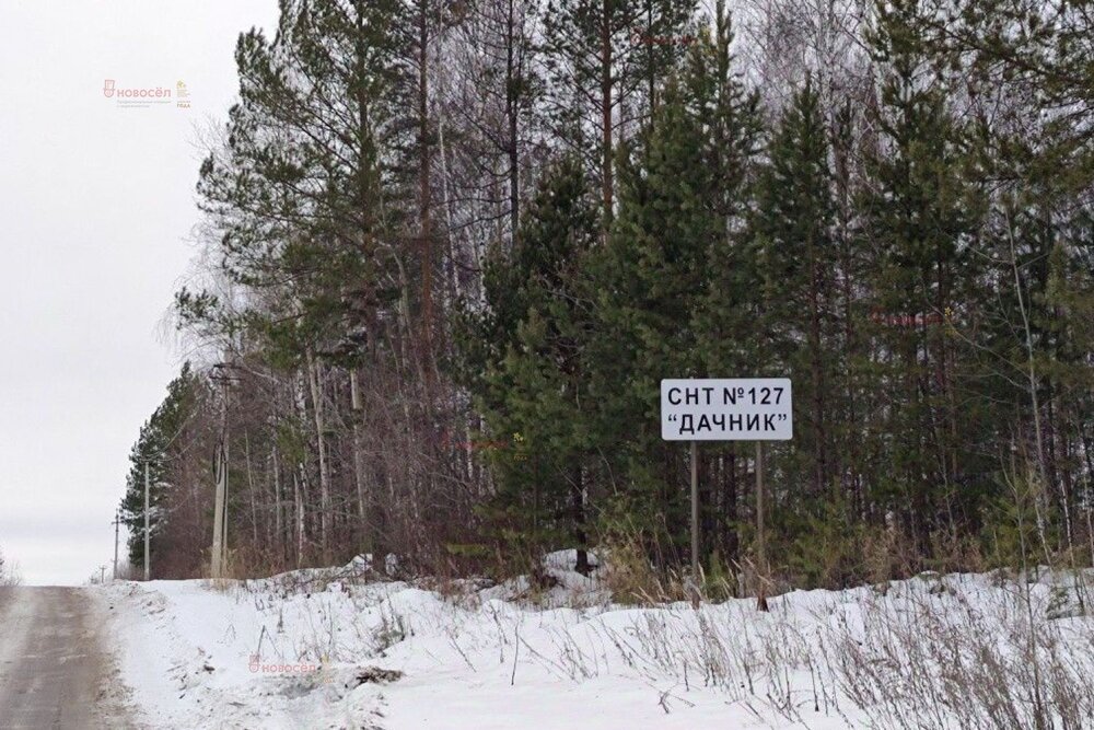 п. Кедровка, № 127 Дачник, ул. Бирюзовая, 36 (городской округ Березовский) - фото сада (3)