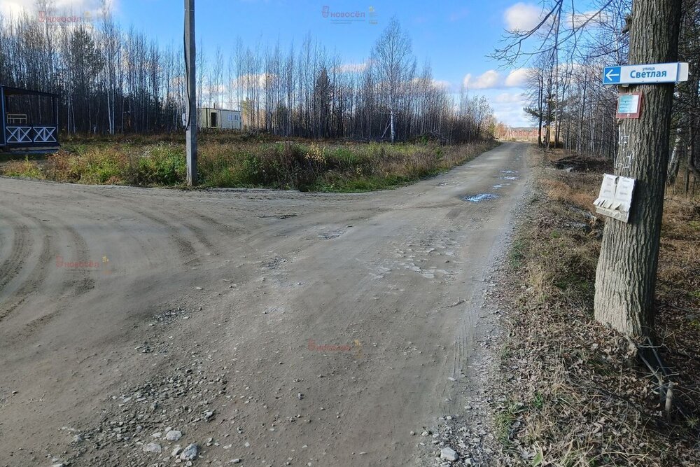 п. Кедровка, № 127 Дачник, ул. Бирюзовая, 36 (городской округ Березовский) - фото сада (4)