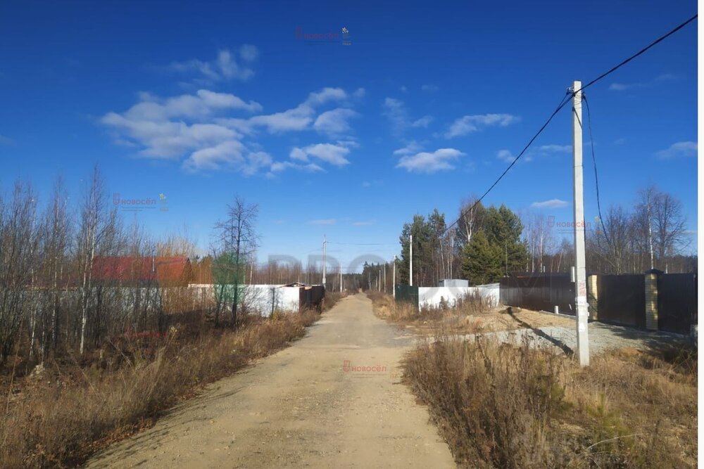 п. Кедровка, № 127 Дачник, ул. Бирюзовая, 36 (городской округ Березовский) - фото сада (6)
