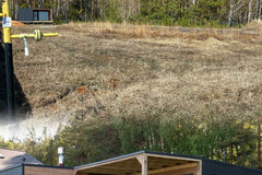 к. п. Расторгуевъ, ул. Вознесенский, 2 (городской округ Сысертский) - фото дома