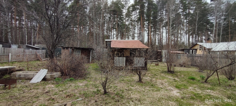 Екатеринбург, СНТ Ново-Свердловский, уч. 63 (Технопарк) - фото сада (2)