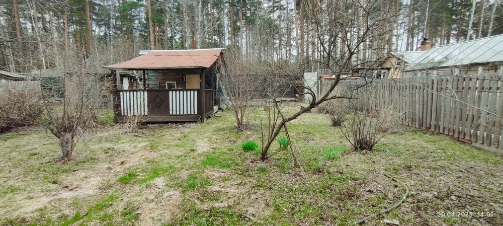 Екатеринбург, СНТ Ново-Свердловский, уч. 63 (Технопарк) - фото сада (3)