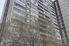 Екатеринбург, ул. Бебеля, 142 (Новая Сортировка) - фото квартиры