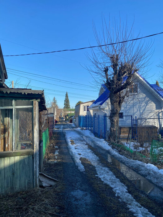 Екатеринбург, СНТ Химик (Вторчермет) - фото сада (8)
