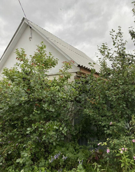 г. Реж, к/с Металлург-3 (городской округ Режевской) - фото сада (3)