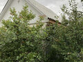 Продажа садового участка: г. Реж, к/с Металлург-3 (городской округ Режевской) - Фото 3
