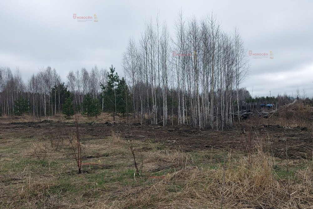 п. Монетный, ул. Сочинская, 26 (городской округ Березовский) - фото земельного участка (2)