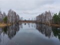 Продажа земельного участка: п. Монетный, ул. Сочинская, 26 (городской округ Березовский) - Фото 3