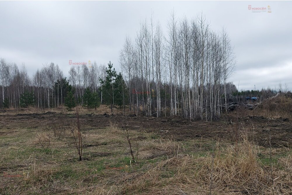 п. Монетный, ул. Сочинская, 26 (городской округ Березовский) - фото земельного участка (4)