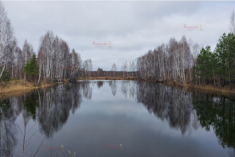 п. Монетный, ул. Сочинская, 26 (городской округ Березовский) - фото земельного участка (6)