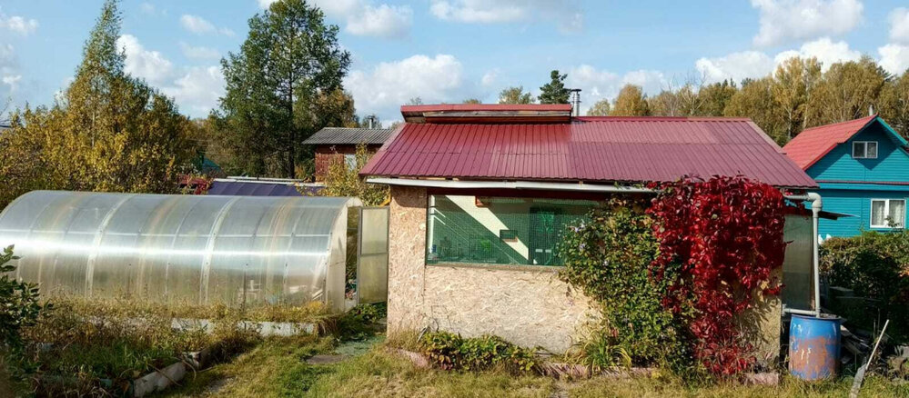 г. Нижний Тагил, СНТ Старатель № 1-2 (городской округ Нижний Тагил) - фото сада (8)