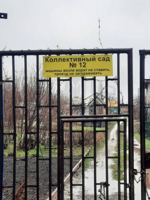 г. Березовский, снт. СНТ N12, уч. 46 (городской округ Березовский) - фото сада (1)