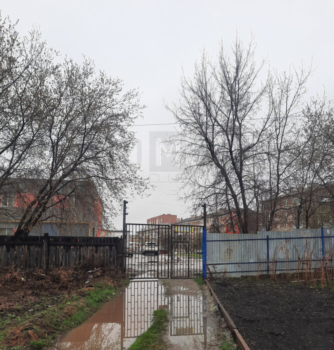 г. Березовский, снт. СНТ N12, уч. 46 (городской округ Березовский) - фото сада (4)