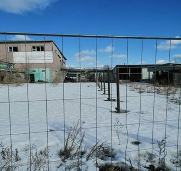 г. Алапаевск, ул. Фрунзе, 96 (городской округ Город Алапаевск) - фото торговой площади (1)