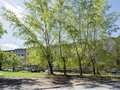 Продажа квартиры: Екатеринбург, ул. Бородина, 4/а (Химмаш) - Фото 6