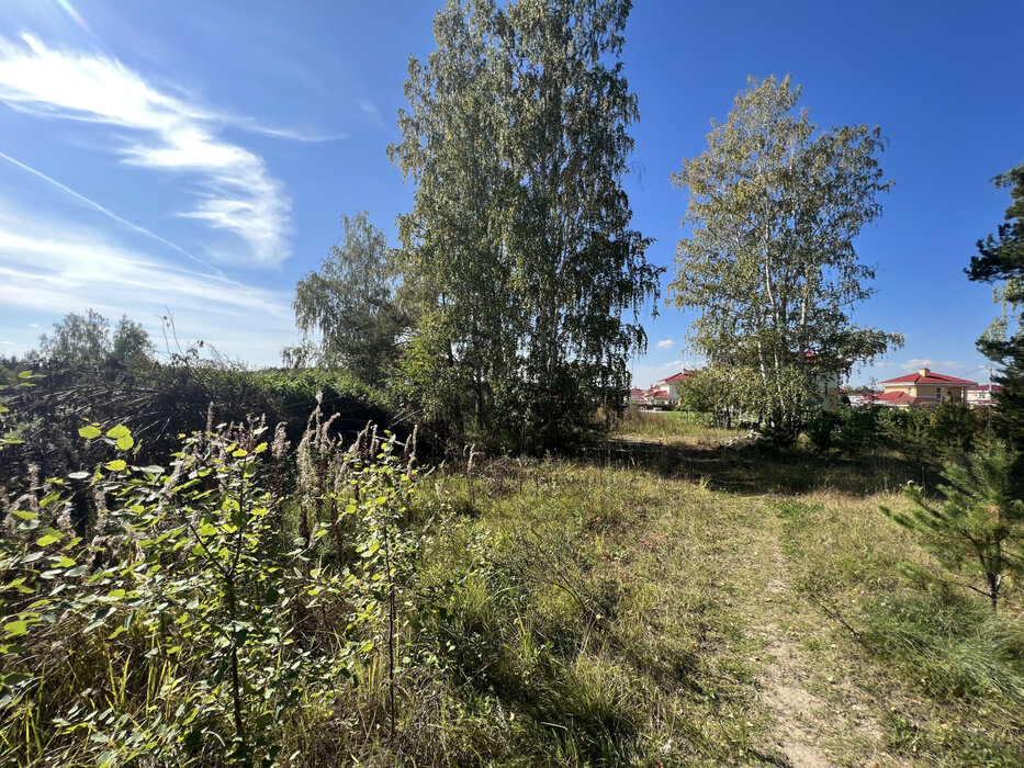 п. Кирпичный, ул. Никольская, 1 (городской округ Среднеуральск) - фото земельного участка (3)