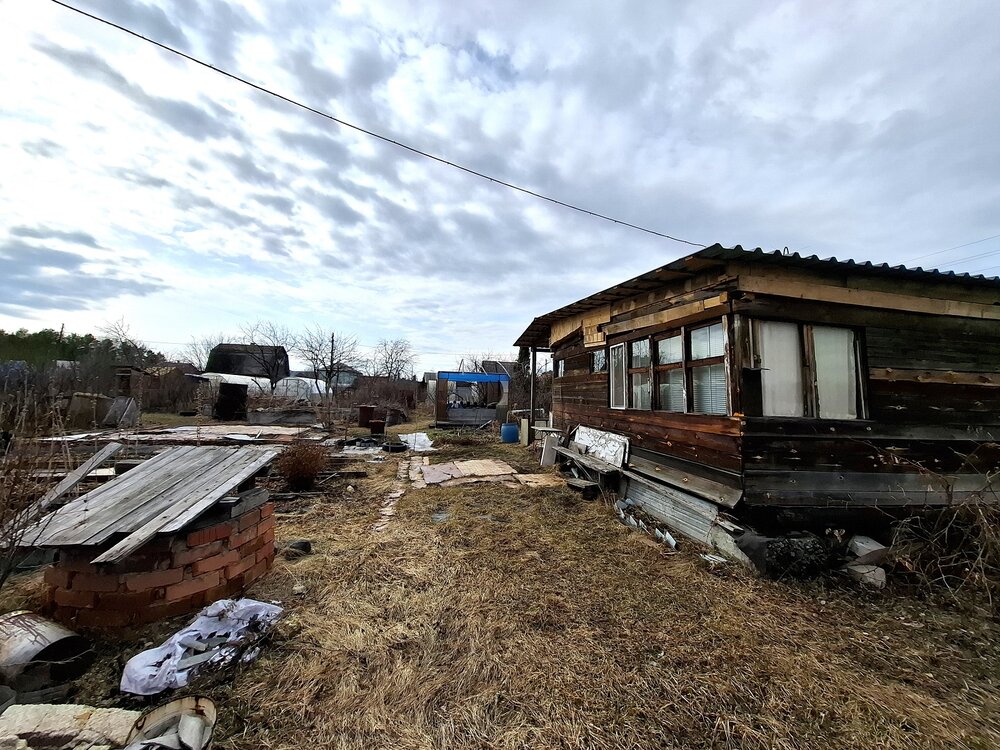 с. Малобрусянское, СНТ Ясень (городской округ Белоярский) - фото сада (6)