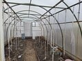 Продажа садового участка: с. Малобрусянское, СНТ Ясень (городской округ Белоярский) - Фото 8