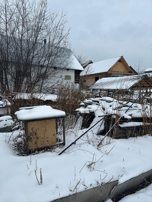 г. Березовский, коллективный сад № 40 (городской округ Березовский) - фото сада (6)