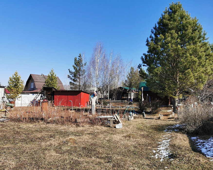 п. Хризолитовый, СНТ Победа, уч. 142 (городской округ Белоярский) - фото сада (5)