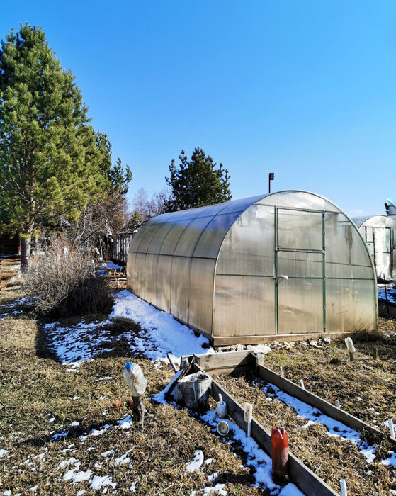 п. Хризолитовый, СНТ Победа, уч. 142 (городской округ Белоярский) - фото сада (6)