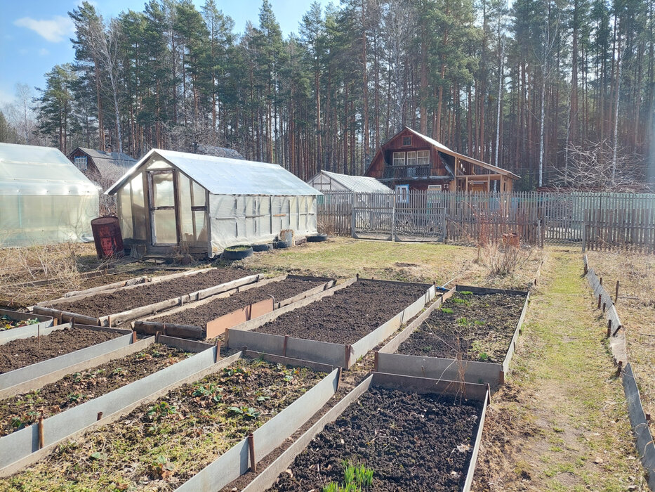 г. Нижний Тагил, Снт Железнодорожник, уч. 78 (городской округ Нижний Тагил) - фото сада (4)