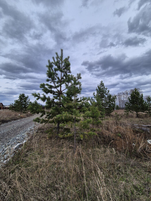 Екатеринбург, ул. Кирова, 5 (Горный щит) - фото дома (4)