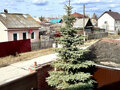 Продажа дома: Екатеринбург, ул. Физкультурников, 5 - Фото 3