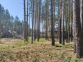 Продажа земельного участка: г. Сысерть, ул. Розы Люксембург, 188Б (городской округ Сысертский) - Фото 1