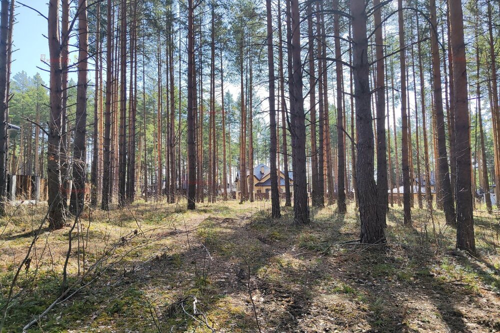 г. Сысерть, ул. Розы Люксембург, 188Б (городской округ Сысертский) - фото земельного участка (6)