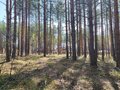 Продажа земельного участка: г. Сысерть, ул. Розы Люксембург, 188Б (городской округ Сысертский) - Фото 6