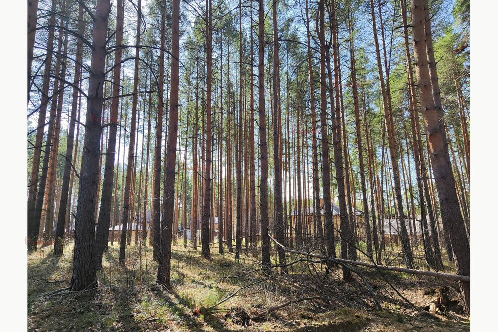 г. Сысерть, ул. Розы Люксембург, 188Б (городской округ Сысертский) - фото земельного участка (7)