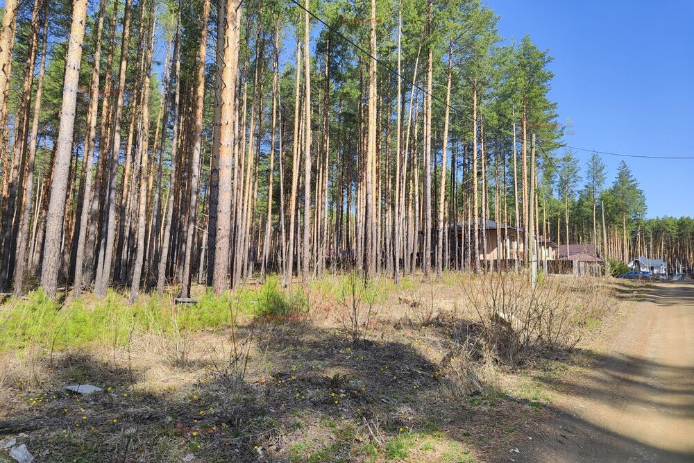 г. Сысерть, ул. Циолковского, 11 (городской округ Сысертский) - фото земельного участка (6)