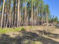 Продажа земельного участка: г. Сысерть, ул. Циолковского, 11 (городской округ Сысертский) - Фото 6