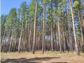 Продажа земельного участка: г. Сысерть, ул. Циолковского, 11 (городской округ Сысертский) - Фото 7