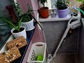 Продажа комнат: Екатеринбург, ул. Суворовский, 3 (Уралмаш) - Фото 8