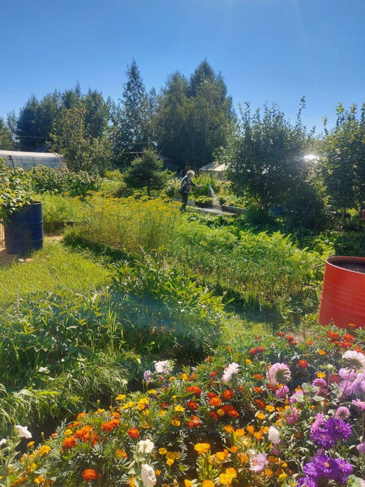 г. Верхняя Пышма, СНТ Надежда-73 (городской округ Верхняя Пышма) - фото сада (5)