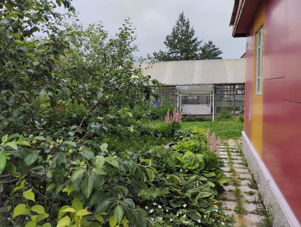 п. Решеты, Архитектор , уч. 102  (городской округ Первоуральск) - фото сада (4)