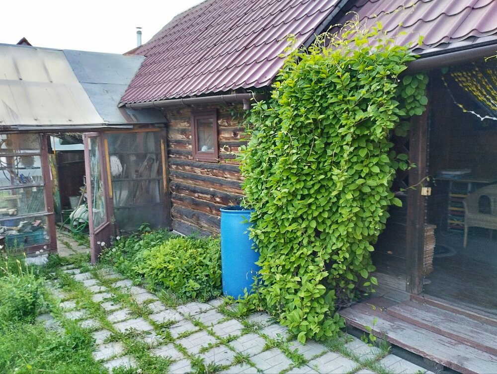 п. Решеты, Архитектор , уч. 102  (городской округ Первоуральск) - фото сада (7)